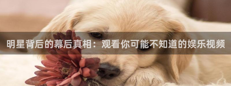 开丰娱乐168：明星背后的幕后真相：观看你可能不知道的娱乐视频