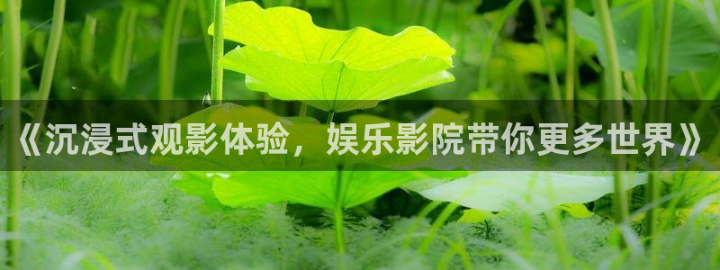 开丰娱乐