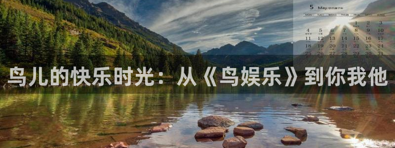 开丰娱乐：鸟儿的快乐时光：从《鸟娱乐》到你我他